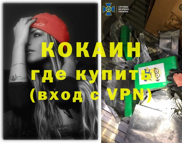 гашик Белокуриха