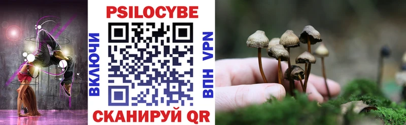даркнет телеграм  Новый Уренгой  Галлюциногенные грибы Cubensis  hydra маркетплейс 
